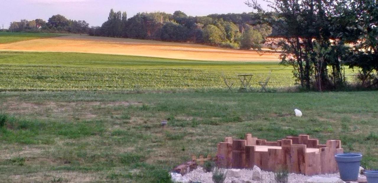 La Berrycurienne Proche Du Zoo De Beauval Saint-Aignan Avec Sdb, Wc Et Spa Privatif Pour Chaque Chambre Luçay-le-Mâle Exteriér fotografie